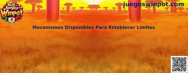 Mecanismos disponibles para establecer límites de juego responsable en Juegos Winpot