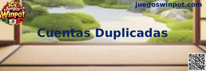 Información sobre Cuentas Duplicadas en Juegos Winpot